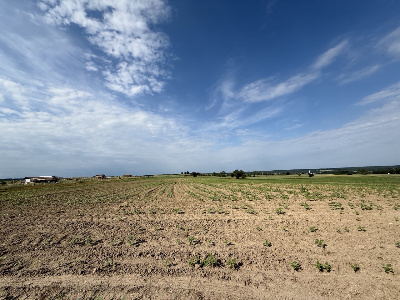 5,908 m² Road-Front Field for Sale Near Residential Areas, Silivri Beyciler — 3