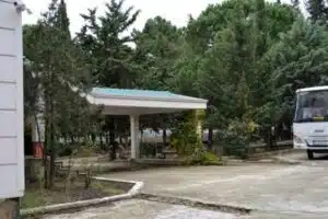 Detay
